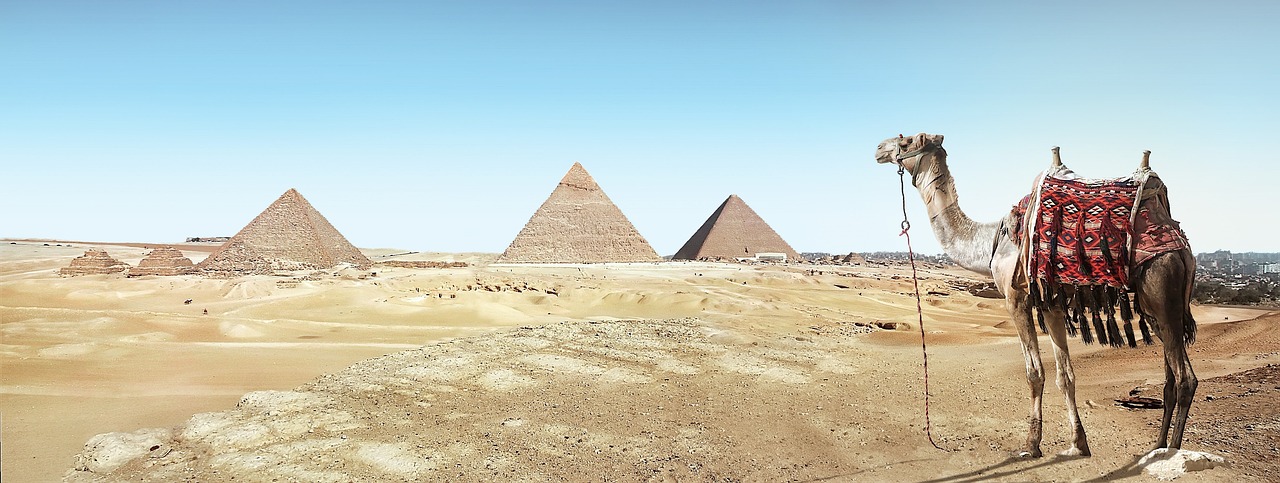 desert, camel, sand, pyramid, dry, travel, pharaohs, landscape, hot, archaeology, nature, tourism, warmth, heat, sahara, giza, vacations, desert, desert, desert, desert, camel, camel, camel, camel, camel, pyramid, pyramid