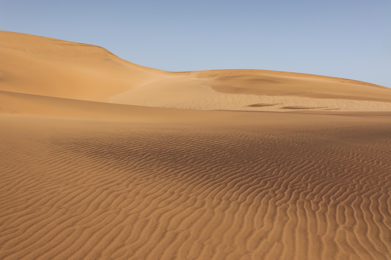 أسئلة مسابقات عن الصحارى وأسرارها للأطفال