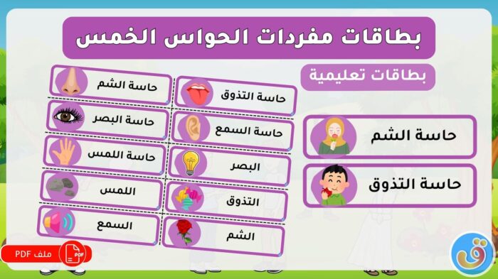 الحواس الخمس: بطاقات تعليمية مفردات الحواس الخمس