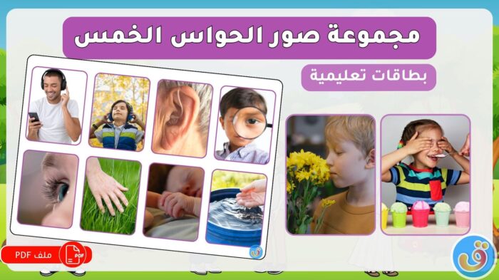 الحواس الخمس: مجموعة صور الحواس الخمس