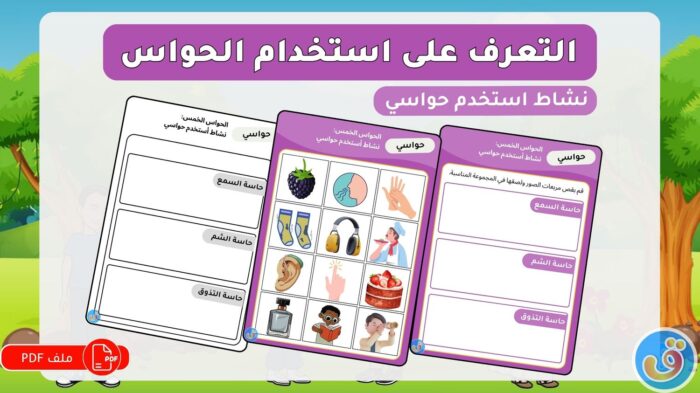 الحواس الخمس: نشاط استخدم حواسي