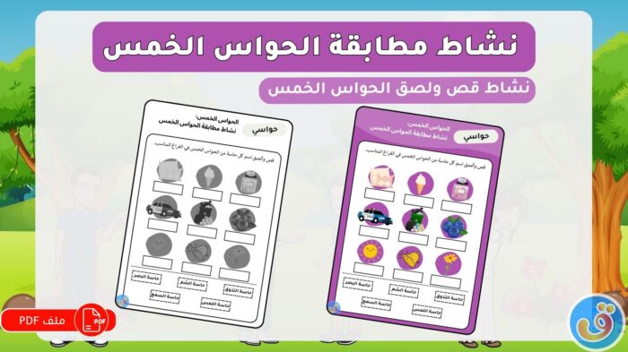 الحواس الخمس: نشاط مطابقة الحواس الخمس