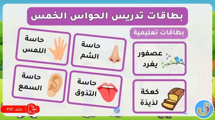 الحواس الخمس: بطاقات تعليمية لتدريس الحواس الخمس