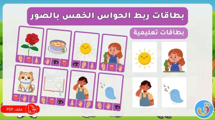 الحواس الخمس: بطاقات تعليمية ربط الحواس الخمس بالصور