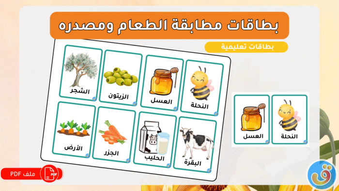 الحياة والكائنات الحية: بطاقات مطابقة الطعام ومصدره