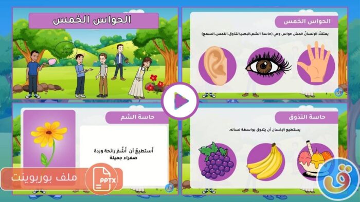 الحواس الخمس: بوربوينت الحواس الخمس للأطفال