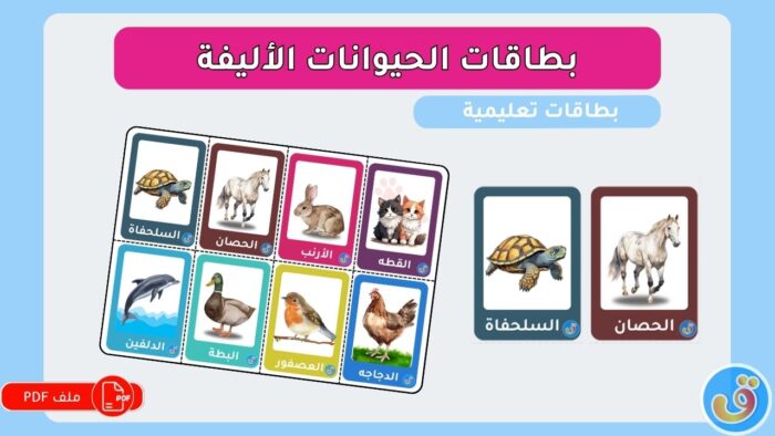 الحياة والكائنات الحية: بطاقات الحيوانات الأليفة