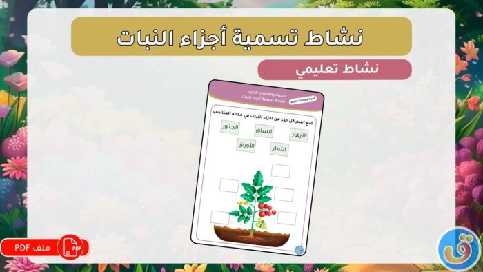 الحياة والكائنات الحية: نشاط تسمية أجزاء النبات