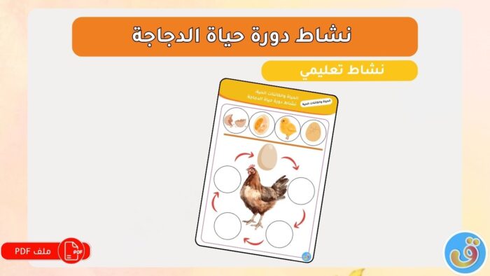 الحياة والكائنات الحية: نشاط دورة حياة الدجاجة