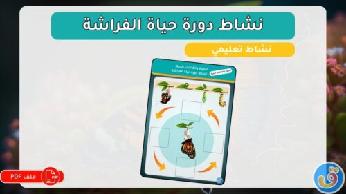 الحياة-والكائنات-الحية-نشاط-دورة-حياة-الفراشة-thumbnail.jpg