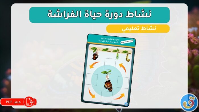 الحياة-والكائنات-الحية-نشاط-دورة-حياة-الفراشة-thumbnail.jpg