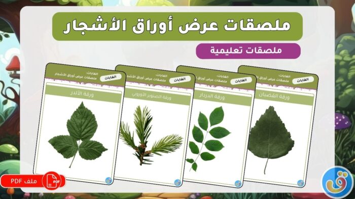 الغابات: ملصقات عرض أوراق الأشجار