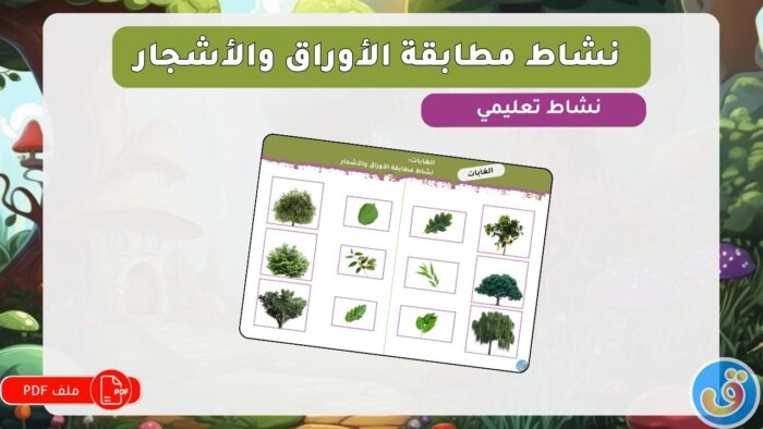 الغابات: نشاط مطابقة الأوراق والأشجار