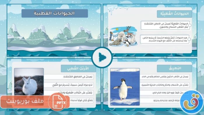 القطبين: بوربوينت عن الحيوانات القطبية