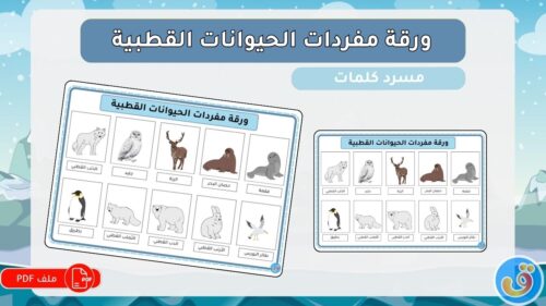 القطبين-ورقة-مفردات-الحيوانات-القطبية-thumbnail.jpg