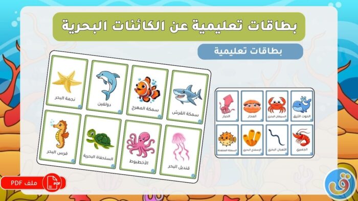 المحيطات والبحار والأنهار: بطاقات تعليمية عن الكائنات البحرية