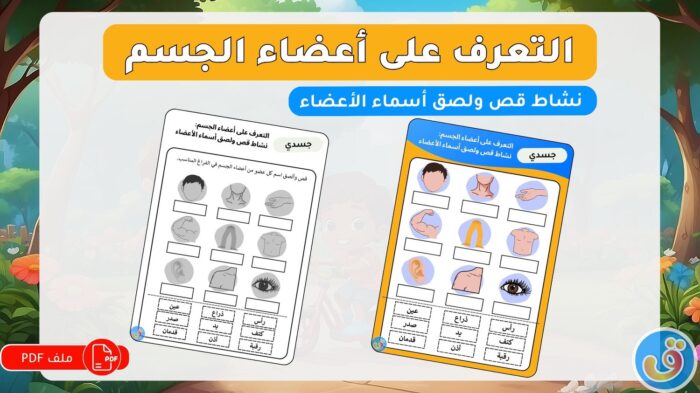 التعرف على أعضاء الجسم: نشاط قص ولصق أسماء الأعضاء
