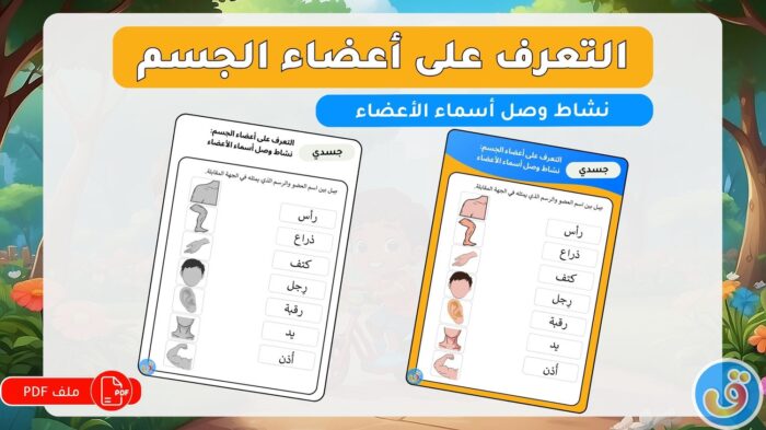 التعرف على أعضاء الجسم: نشاط وصل أسماء الأعضاء