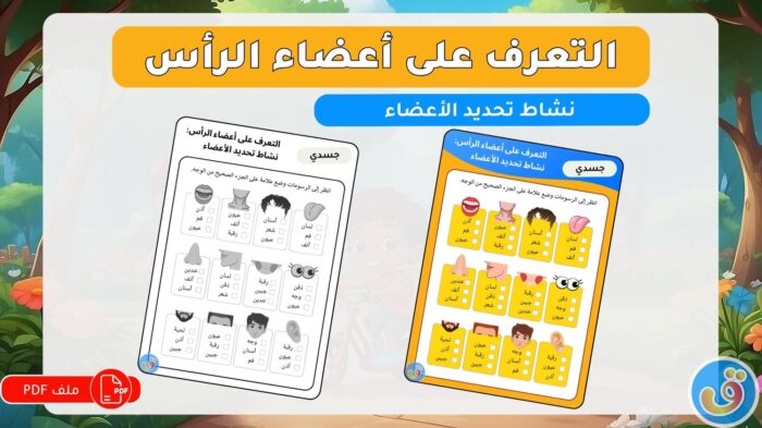 التعرف على أعضاء الرأس: نشاط تحديد الأعضاء