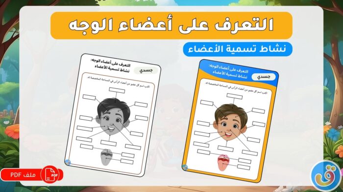 التعرف على أعضاء الوجه: نشاط تسمية الأعضاء