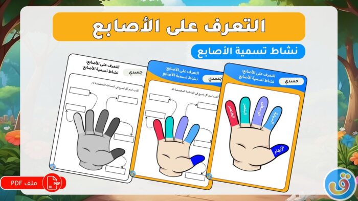 التعرف على الأصابع: نشاط تسمية الأصابع