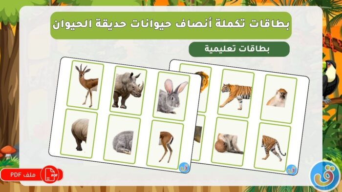 حديقة الحيوان: بطاقات تكملة أنصاف حيوانات حديقة الحيوان