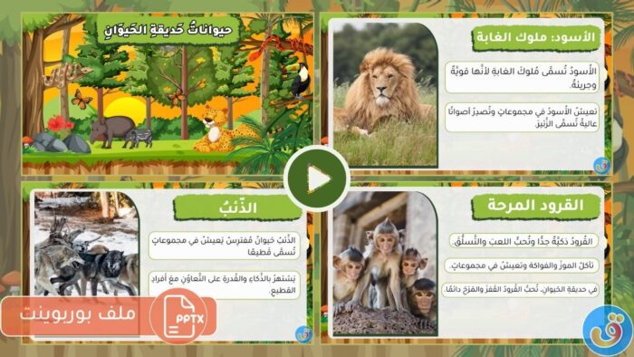 حديقة الحيوان: بوربوينت حيوانات حديقة الحيوان