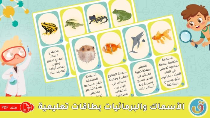 التعرف على الحيوانات: الأسماك والبرمائيات - بطاقات تعليمية