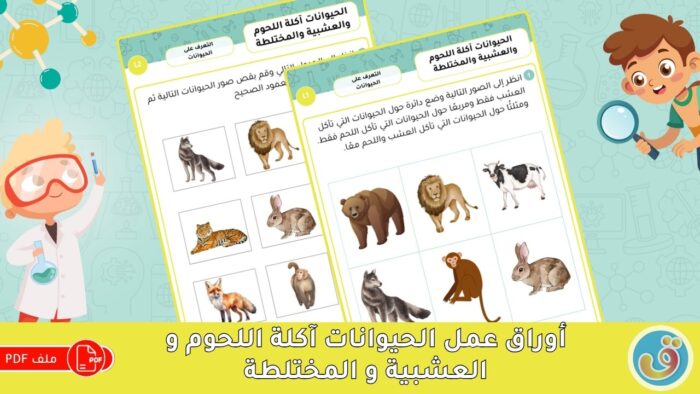 التعرف على الحيوانات: الحيوانات آكلة اللحوم والعشبية والمختلطة - أوراق عمل
