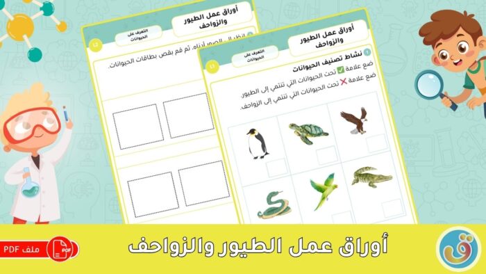 التعرف على الحيوانات: المقارنة - أوراق عمل الطيور والزواحف