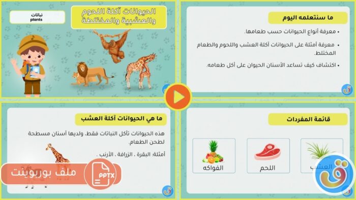 التعرف على الحيوانات: بوربوينت الحيوانات آكلة اللحوم والعشبية والمختلطة