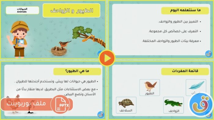 التعرف على الحيوانات: بوربوينت الطيور والزواحف