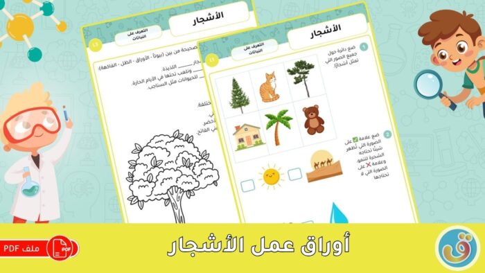 التعرف على النباتات: الأشجار - أوراق عمل النباتات