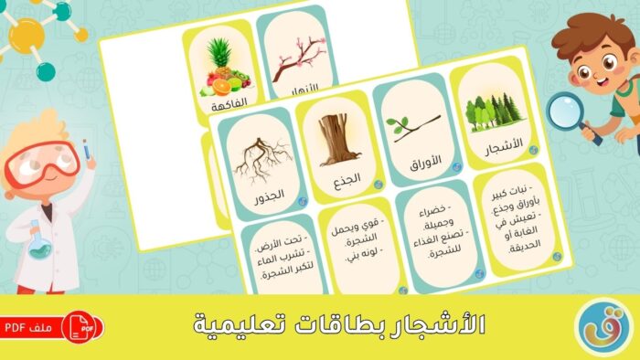 التعرف على النباتات: الأشجار - بطاقات تعليمية