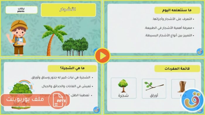 التعرف على النباتات: الأشجار - بوربوينت