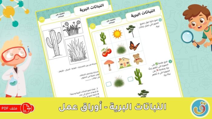 التعرف على النباتات: النباتات البرية - أوراق عمل النباتات