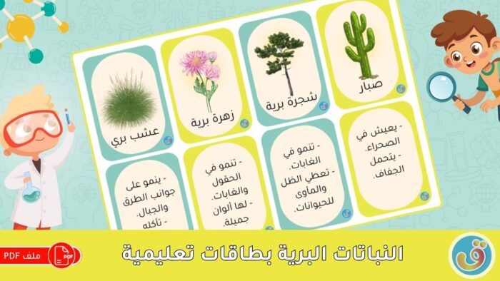 التعرف على النباتات: النباتات البرية - بطاقات تعليمية