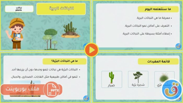 التعرف على النباتات: النباتات البرية - بوربوينت