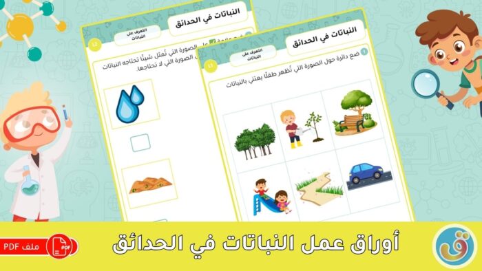 التعرف على النباتات: النباتات في الحدائق - أوراق عمل النباتات