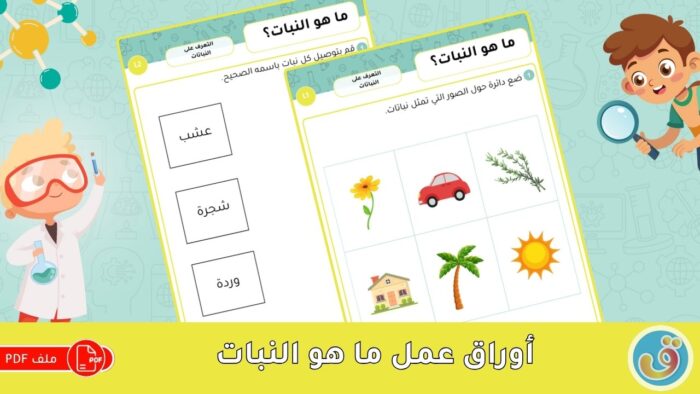 التعرف على النباتات: ما هو النبات؟ - أوراق عمل النباتات