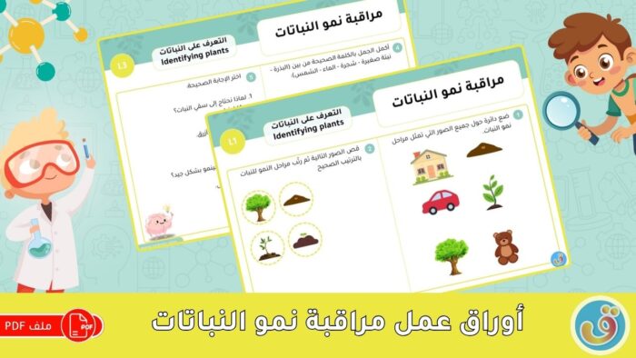 التعرف على النباتات: مراقبة نمو النباتات - أوراق عمل النباتات