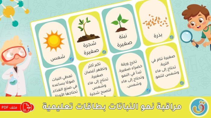 التعرف على النباتات: مراقبة نمو النباتات - بطاقات تعليمية