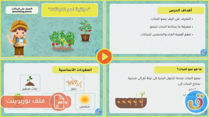 التعرف على النباتات: مراقبة نمو النباتات - بوربوينت