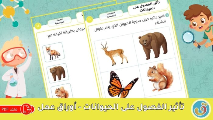 التغيرات الموسمية: تأثير الفصول على الحيوانات - أوراق عمل الفصول