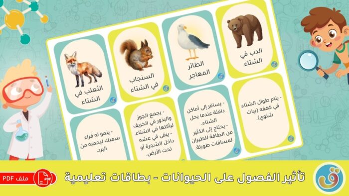 التغيرات الموسمية: تأثير الفصول على الحيوانات - بطاقات تعليمية