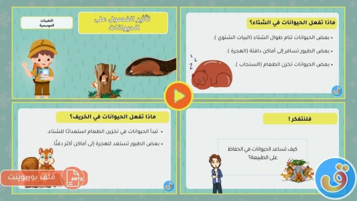 التغيرات الموسمية: تأثير الفصول على الحيوانات - بوربوينت
