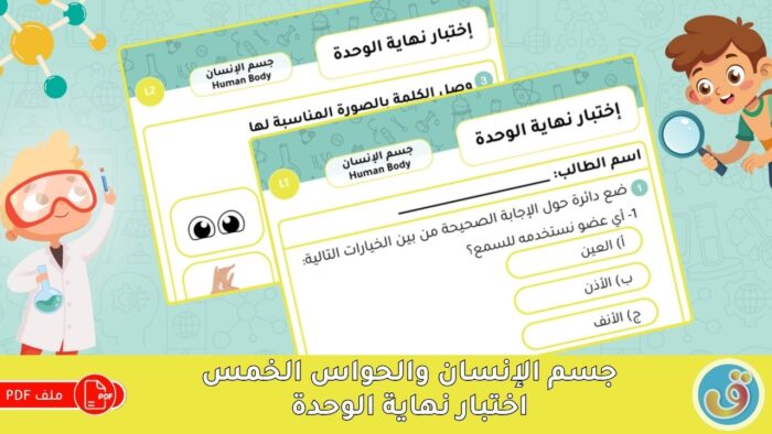 جسم الإنسان