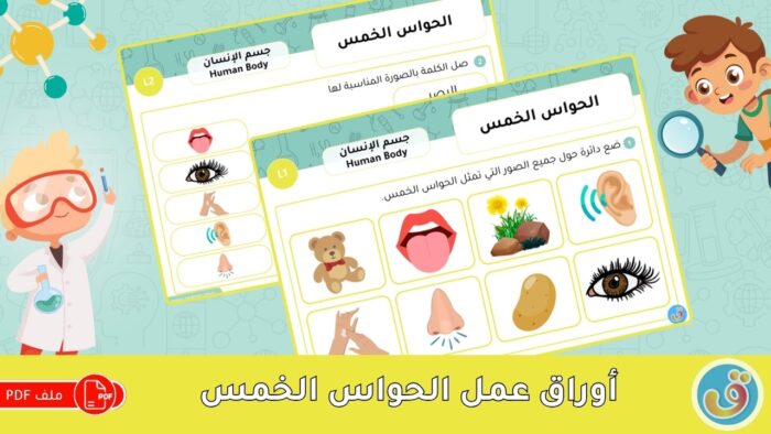 الحواس الخمس