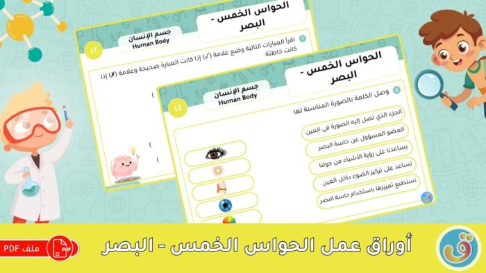 جسم الإنسان: أوراق عمل الحواس الخمس - البصر