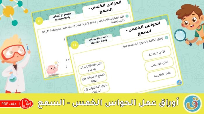 الحواس الخمس